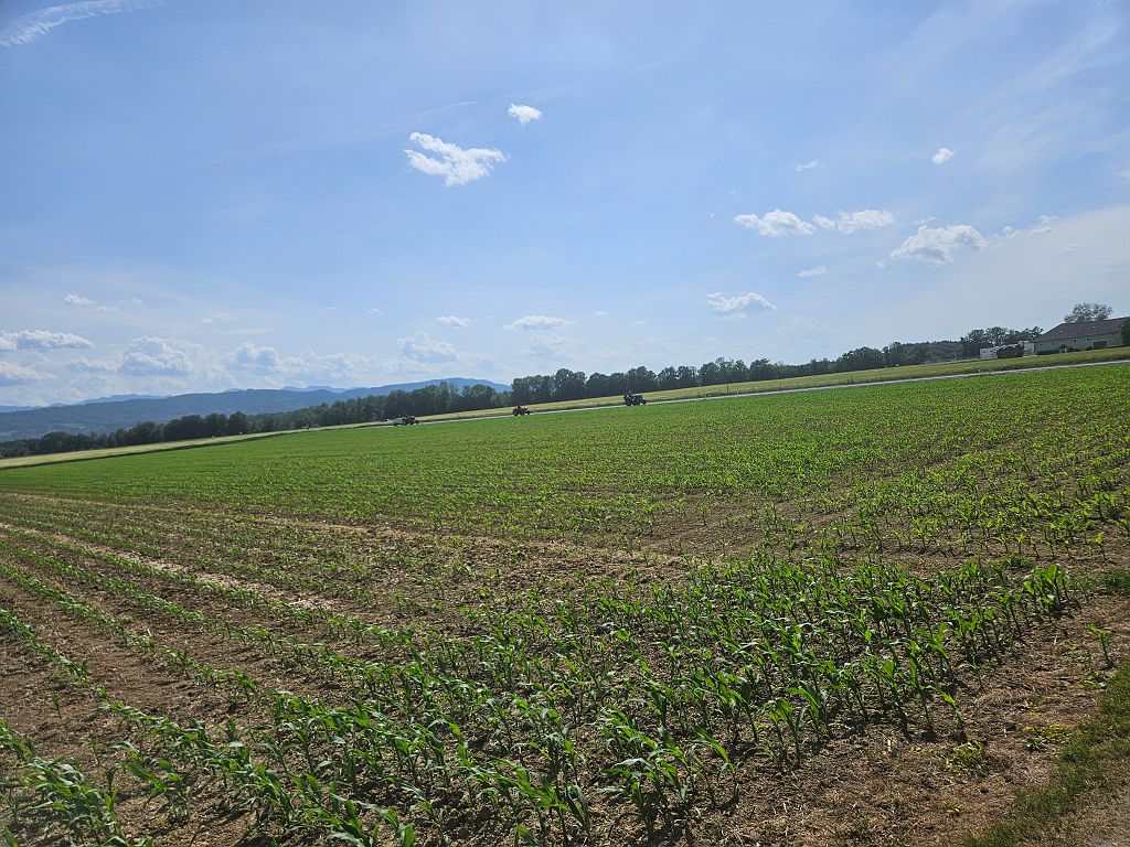 Rossfeld (276).jpg